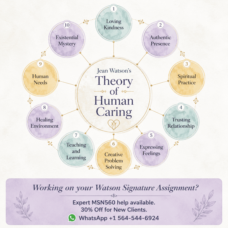 Watson's Ten Caritas Processes Infographic