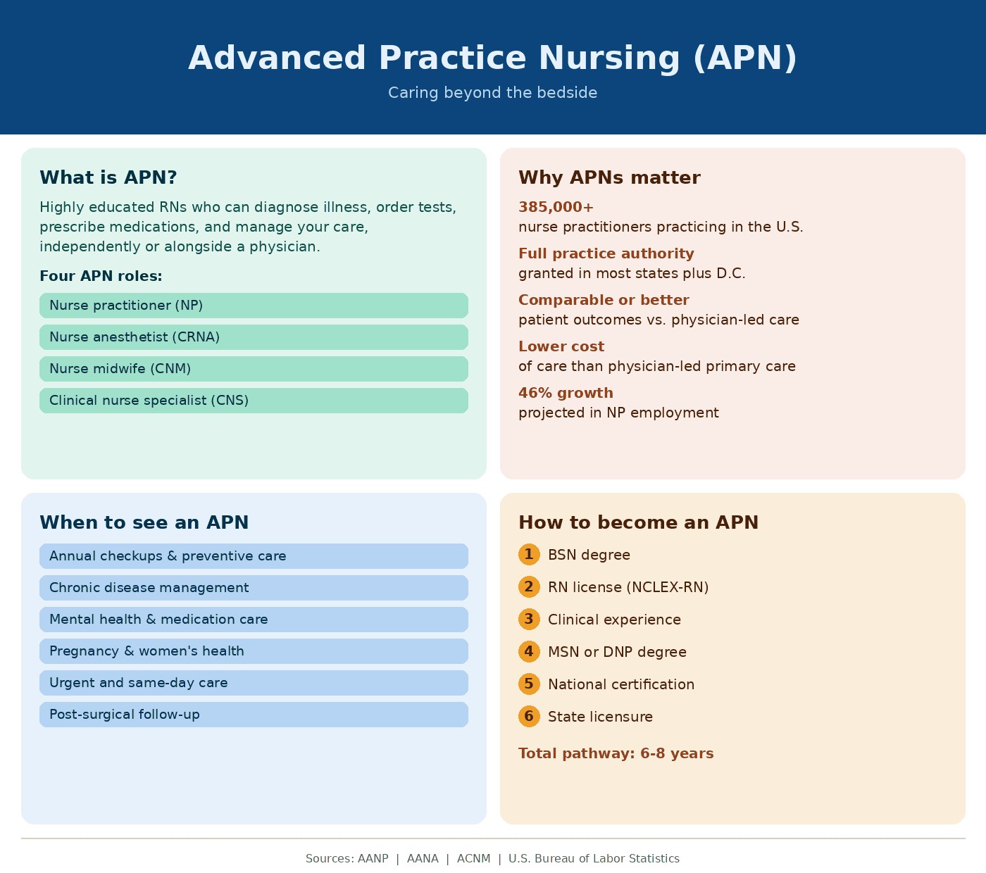 APN Infographic Assignment Example