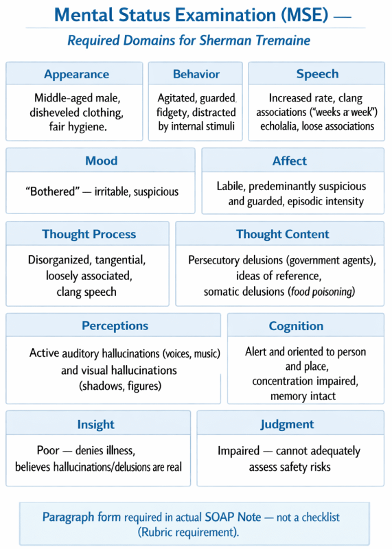 Mental Status Examination domains for Sherman Tremaine schizophrenia case including appearance, behavior, speech, mood, affect, thought process, thought content, perceptions, cognition, insight, and judgment with specific clinical findings for NRNP 6675 SOAP Note.
