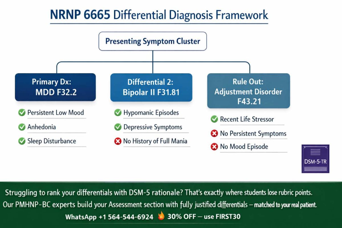 DSM-5 differential diagnosis decision tree infographic for NRNP 6665 Assessment section, showing MDD primary diagnosis versus Bipolar II and Adjustment Disorder rule-outs, with expert help from Gradevia